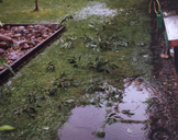 Unwetter 2