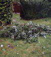 Unwetter 5