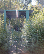 Garten 1