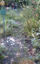 Garten 3