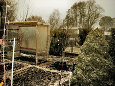06-Apr_0102
