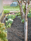 06-Apr_0702