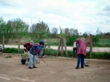 07_Apr_06