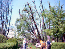 07_Apr_10