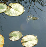 07_Oeko_05