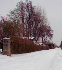 2010_1