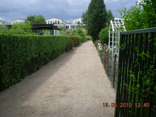 2010_49