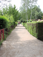 2010_50