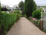 2010_51