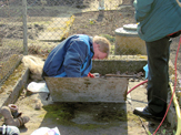 2010_7