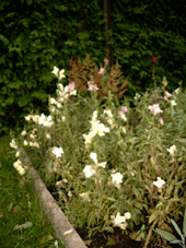 Sep_4