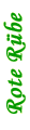 roteruebe
