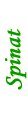spinat
