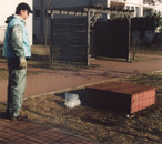 maerz-20